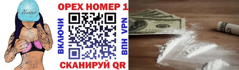 купить закладку  Саранск  Кокаин FishScale 