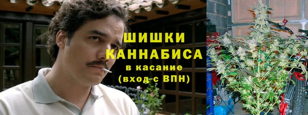 дмт Медногорск
