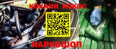 шишки Кандалакша