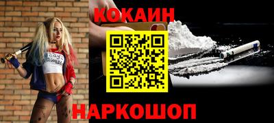 шишки Кандалакша