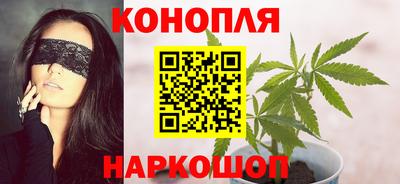 шишки Кандалакша