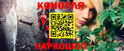 шишки Кандалакша