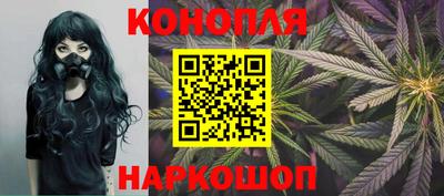 стафф Камышлов