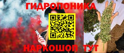 шишки Кандалакша