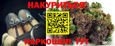 стафф Камышлов