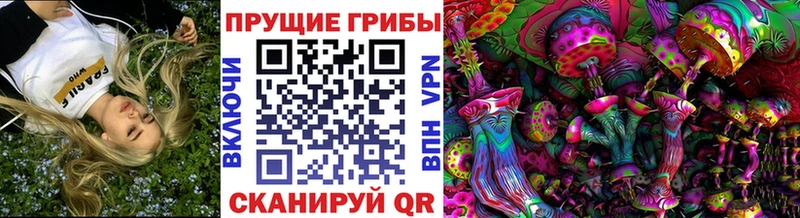 наркотики  Саранск  Галлюциногенные грибы MAGIC MUSHROOMS 