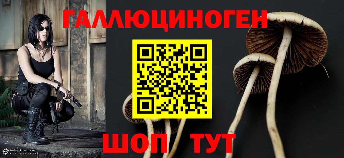 Галлюциногенные грибы Magic Shrooms Саранск