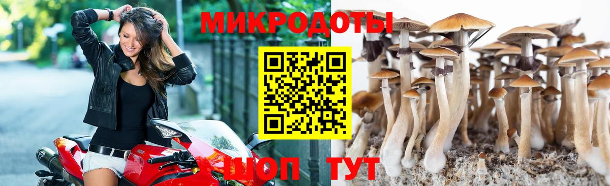 Галлюциногенные грибы Magic Shrooms  Псилоцибиновые грибы ЛСД  Саранск  Вход с VPN 