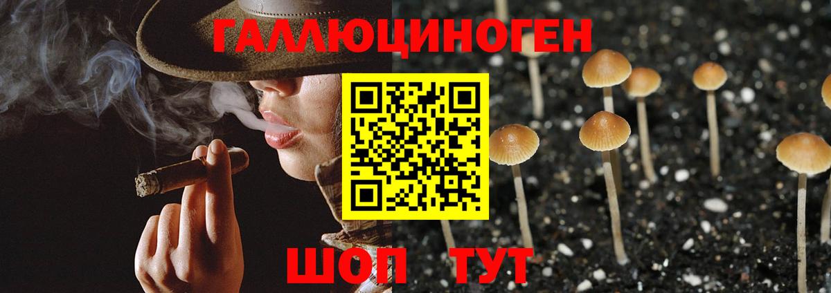 Псилоцибиновые грибы мухоморы  Саранск 